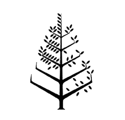 Four Seasons Hotel Moscow Logo